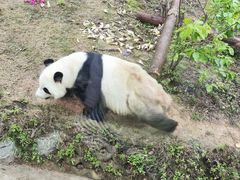 -泉州海丝野生动物世界