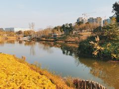 -王借岗森林公园