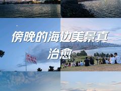 -小麦岛公园