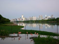 -南宁南湖公园