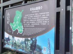 -上海佘山国家森林公园天马山园