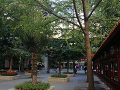 -中国人民解放军总医院(301医院)