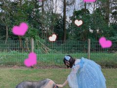 -前小桔亲子创意农场·草莓采摘·露营烧烤