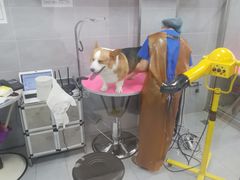 -宠福鑫康馨动物医院·骨科·眼科