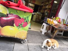 -洞子口张老二凉粉(文殊院店)