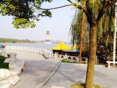 溱湖国家湿地公园-溱湖国家湿地公园