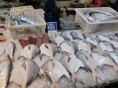 海鲳鱼-东河市场