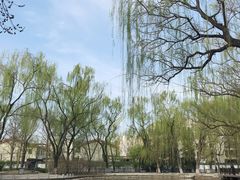 -玲珑塔公园