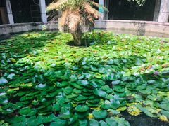 -攀枝花公园