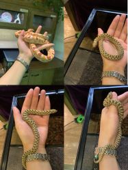 -Zoolung Zoolung动物主题公园(海信广场店)