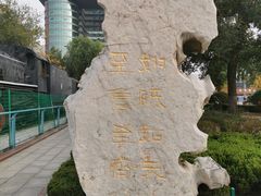 -潍坊站
