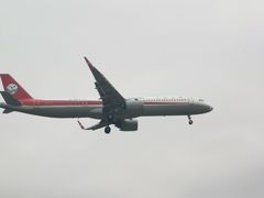 -空港花田景区
