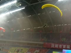 -沈阳奥林匹克体育中心