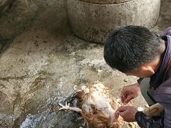 -福满楼客家私房菜(梅中大道店)