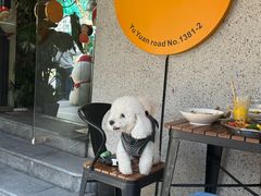 -Money Shops(愚园路店)