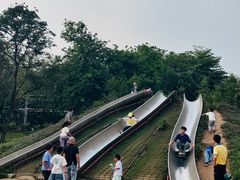-顺峰山公园