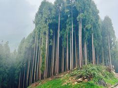 -太阳湾风景区
