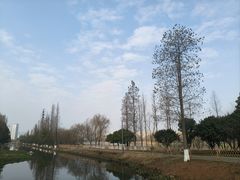 -洋湖国家湿地公园