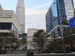 -深圳湾万象城(南山店)