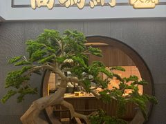 -高玛纳驴肉火烧(河间总店)