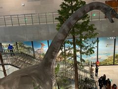 -湖南省地质博物馆