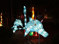 -南宫五洲植物乐园