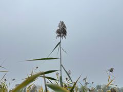 -北京宽沟会议中心