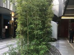 -南小蟹手工點心(三里屯店)
