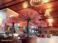 -厦门帝元维多利亚大酒店(环岛路黄厝海滩店)