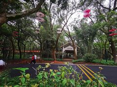 -广州市白云山风景名胜区