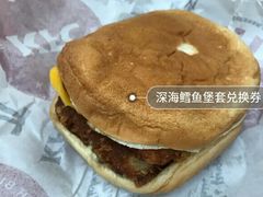 深海鳕鱼堡套兑换券-肯德基(李家沱店)