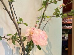 -BOCATA 西班牙餐厅(三里屯店)