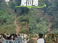 -青龙山国家森林公园