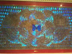 iphone_upload_pic-上海昆虫博物馆