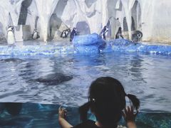 -太平洋海底世界