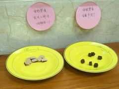 -仁华宠物医院(青羊店)