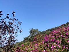 -广州市石门国家森林公园