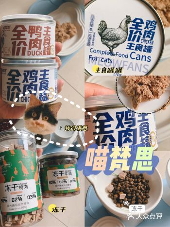 养宠好物 | 谁不喜欢胖乎乎的爆毛猫咪啊