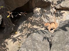 -天津盘山风景名胜区