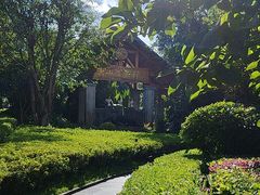 -腾冲洞山温泉村