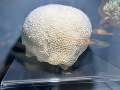 -天津自然博物馆