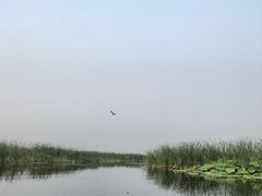 景点-白洋淀景区