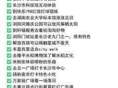 -黄兴南路步行商业街