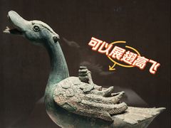 -四川宋瓷博物馆