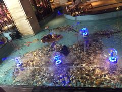 -水晶之星洗浴温泉汗蒸