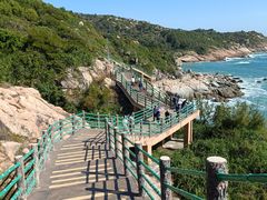 -广东惠东海龟国家级自然保护区