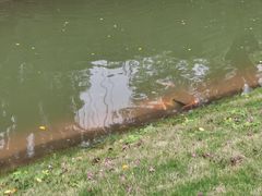 -广州市第二中学高中部(科学城校区)