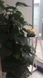 -悟空祛痘·专业祛痘机构