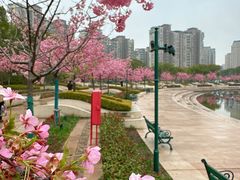 -新江湾城公园