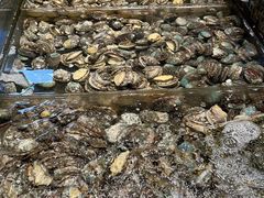 -海鲜e族(马王堆店)